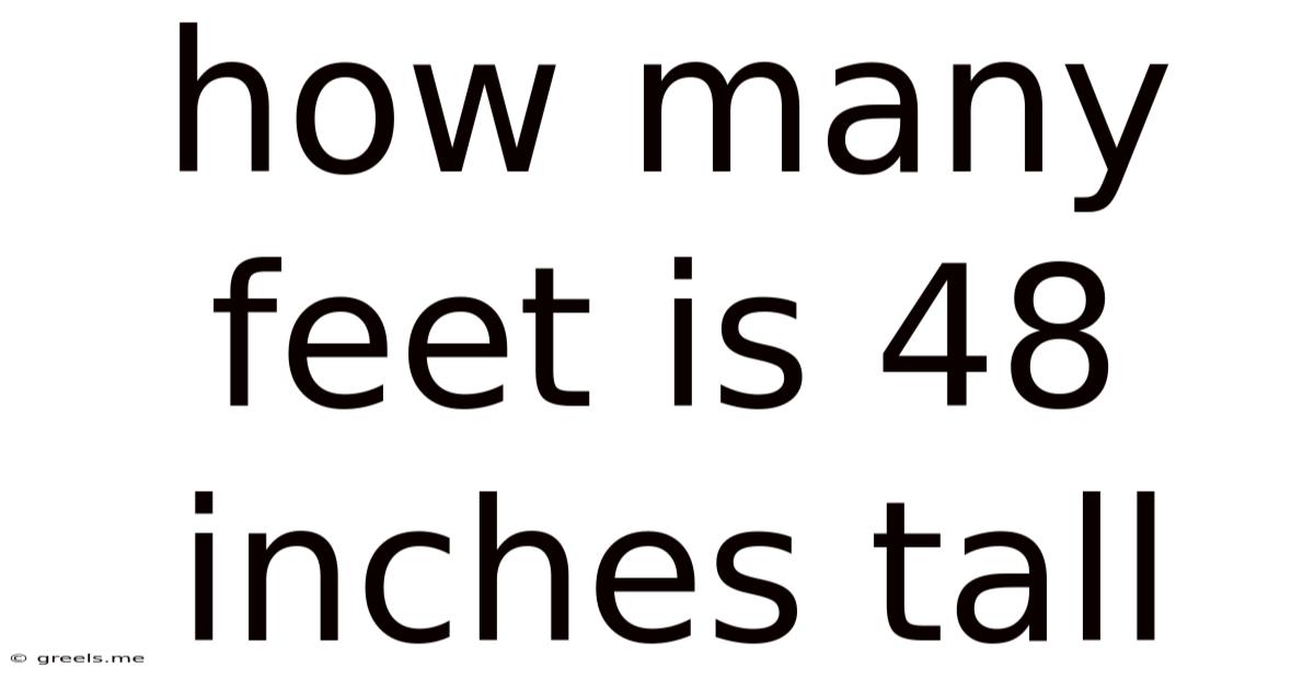 How Many Feet Is 48 Inches Tall