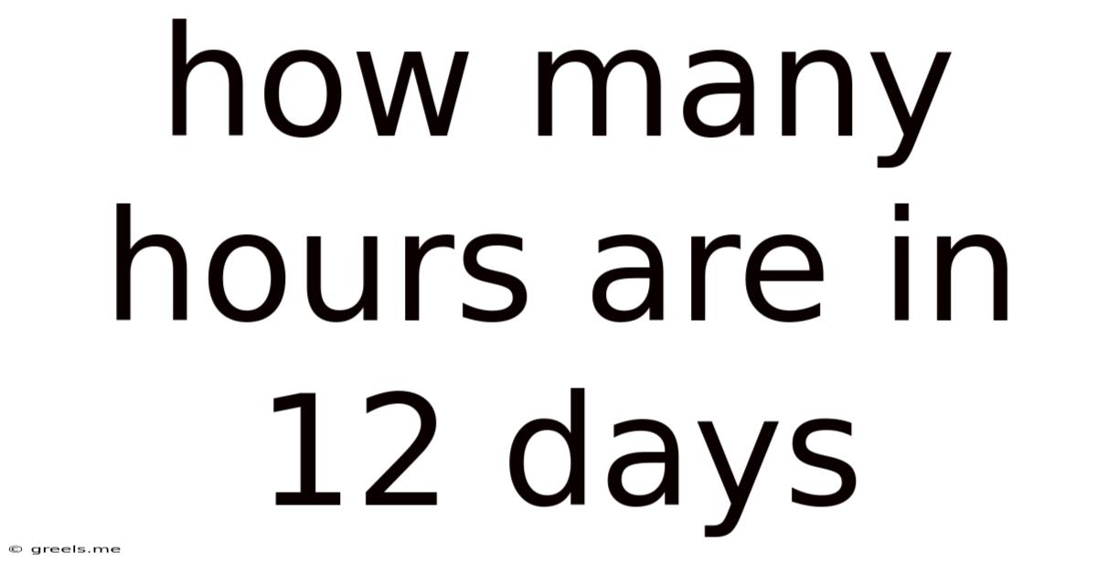 How Many Hours Are In 12 Days