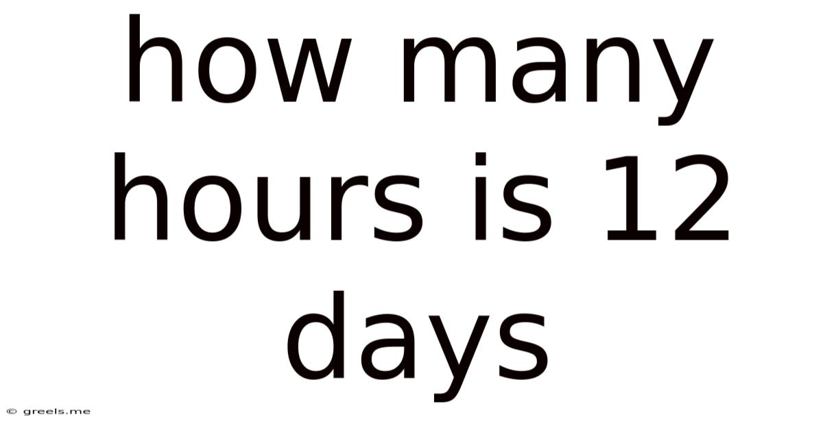 How Many Hours Is 12 Days