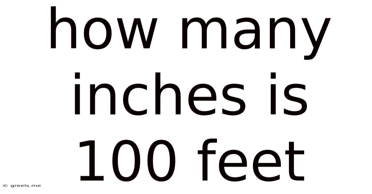 How Many Inches Is 100 Feet
