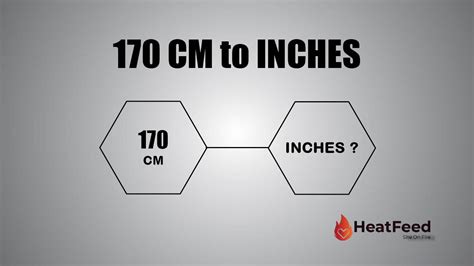 How Many Inches Is 170 Cm