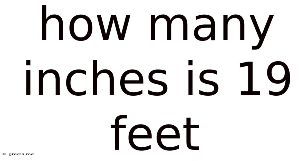 How Many Inches Is 19 Feet