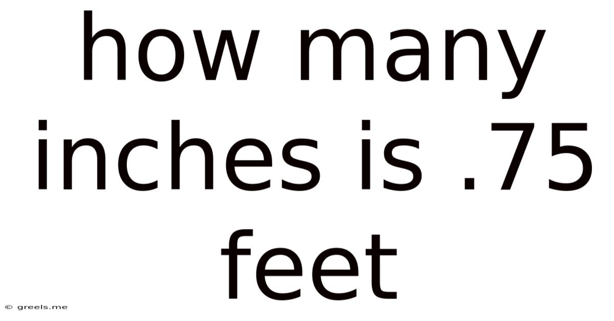 How Many Inches Is .75 Feet