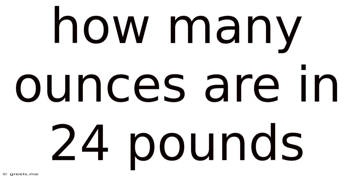 How Many Ounces Are In 24 Pounds