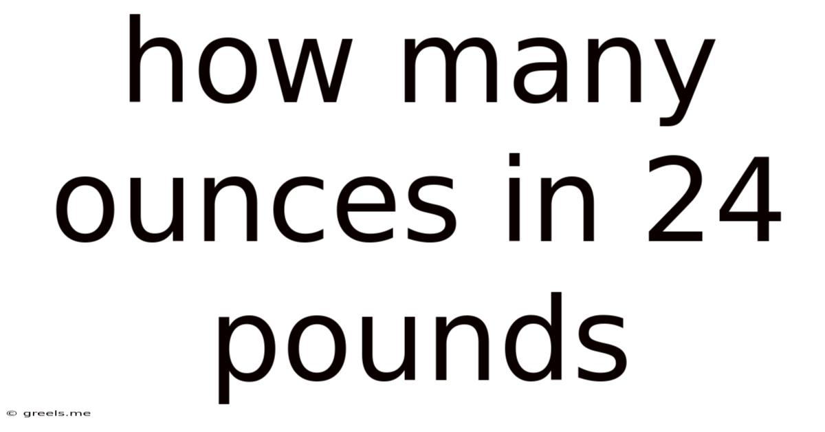 How Many Ounces In 24 Pounds