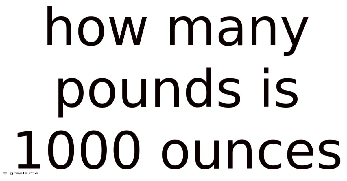 How Many Pounds Is 1000 Ounces
