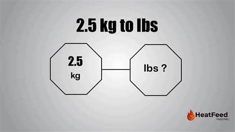 How Many Pounds Is 2.5 Kilograms