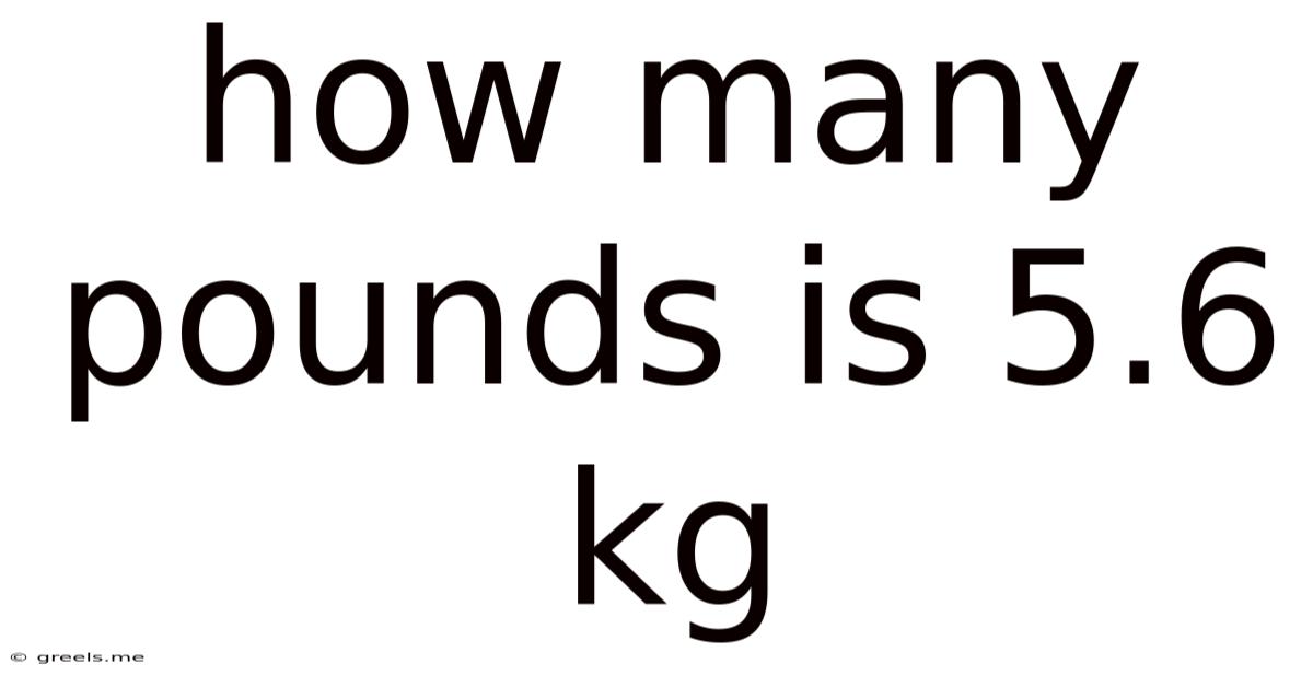 How Many Pounds Is 5.6 Kg