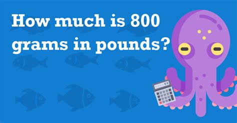 How Many Pounds Is 800 G