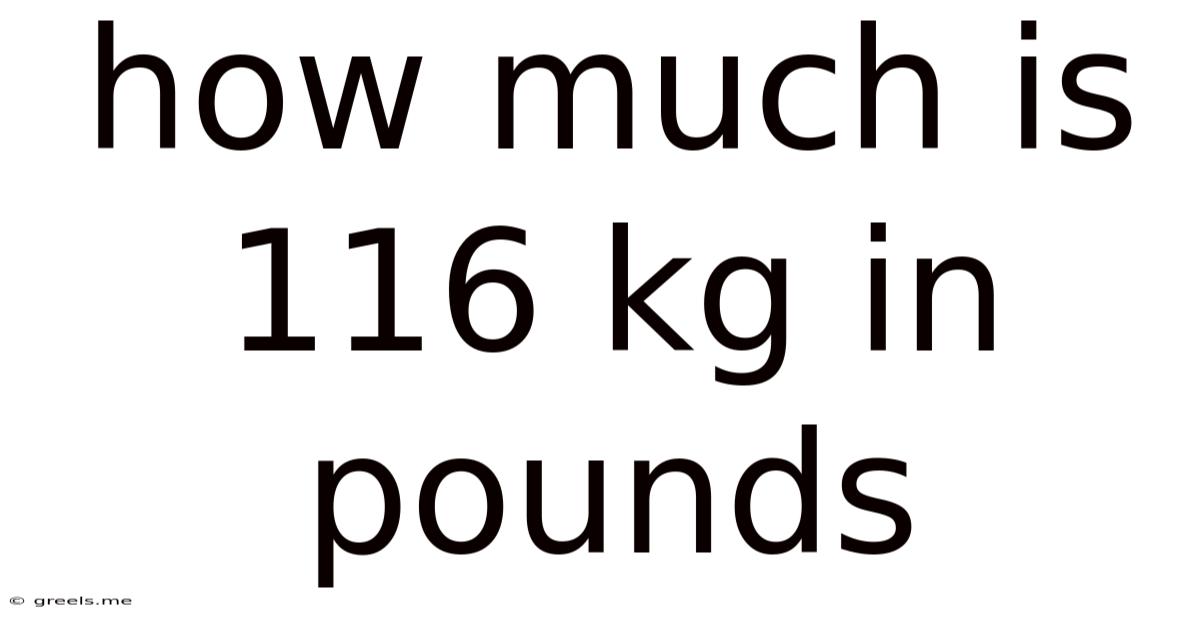 How Much Is 116 Kg In Pounds