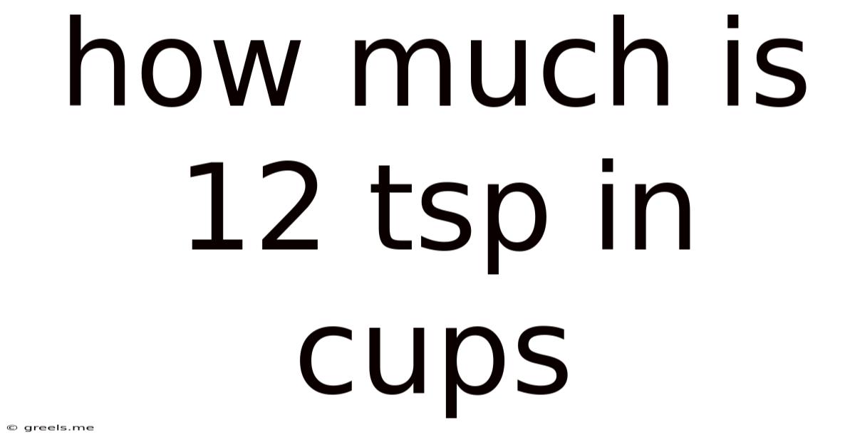 How Much Is 12 Tsp In Cups