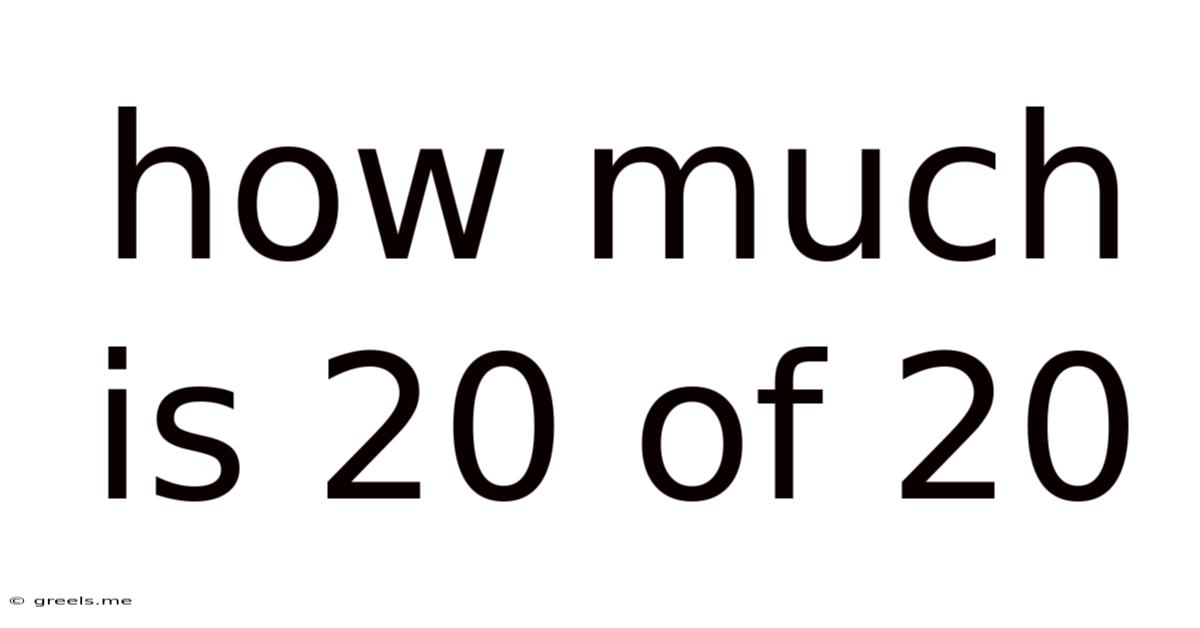 How Much Is 20 Of 20