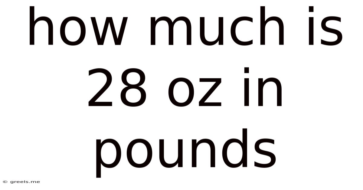 How Much Is 28 Oz In Pounds