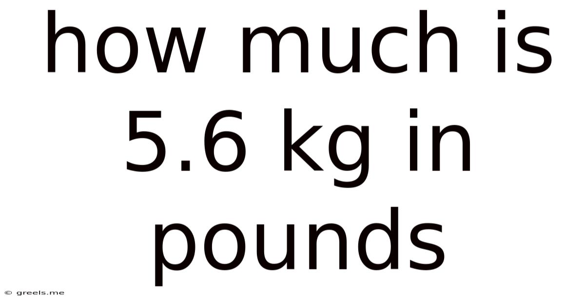 How Much Is 5.6 Kg In Pounds