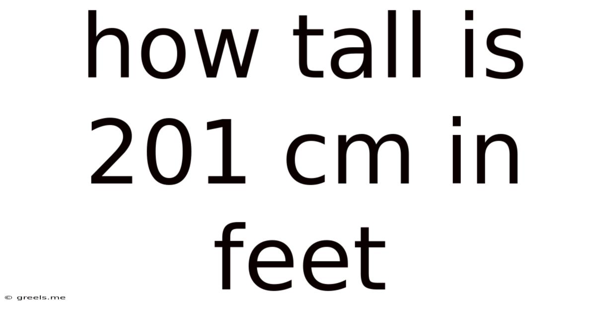 How Tall Is 201 Cm In Feet