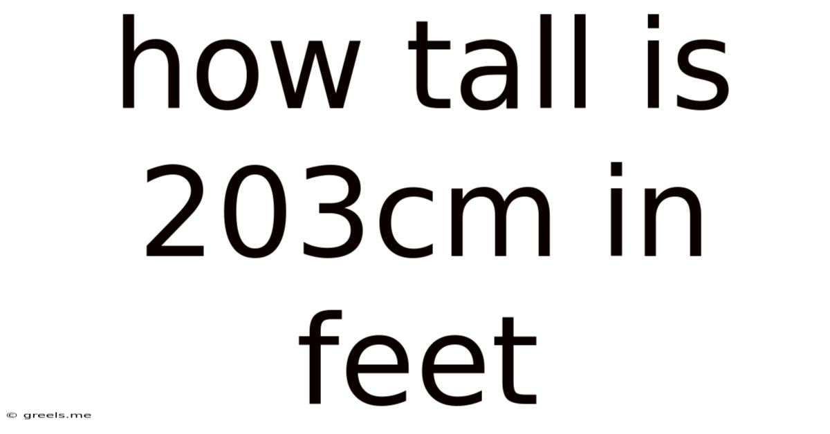 How Tall Is 203cm In Feet