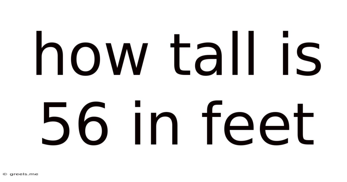 How Tall Is 56 In Feet