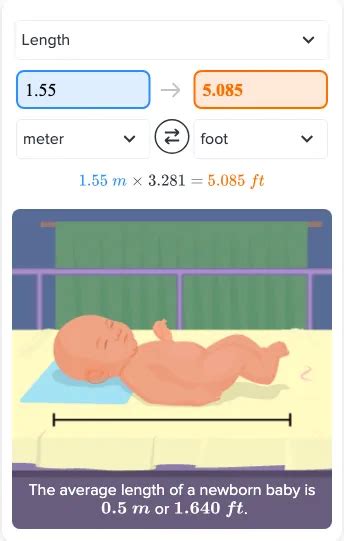 What Is 1.55 Meters In Feet