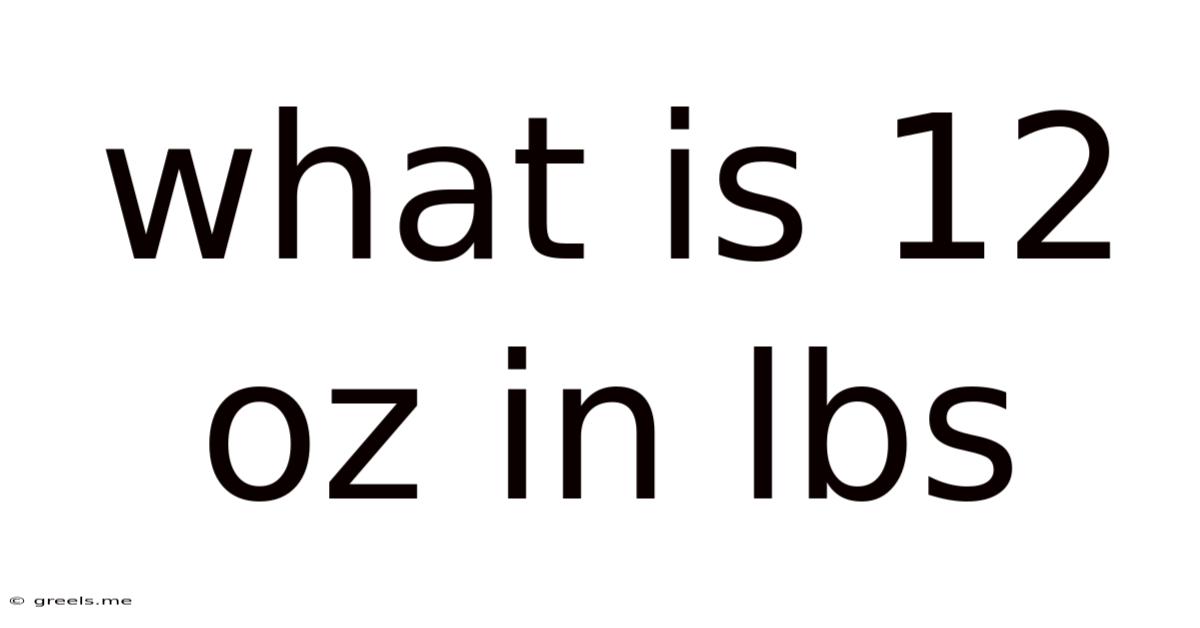 What Is 12 Oz In Lbs