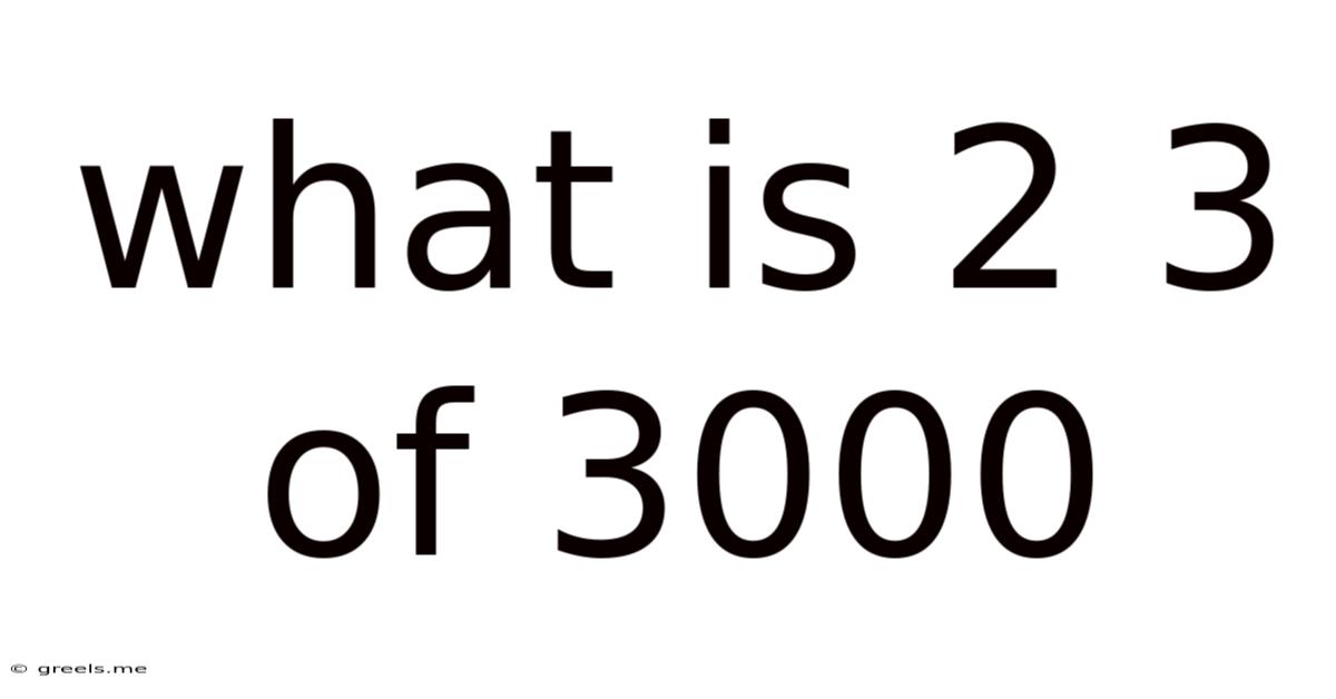 What Is 2 3 Of 3000