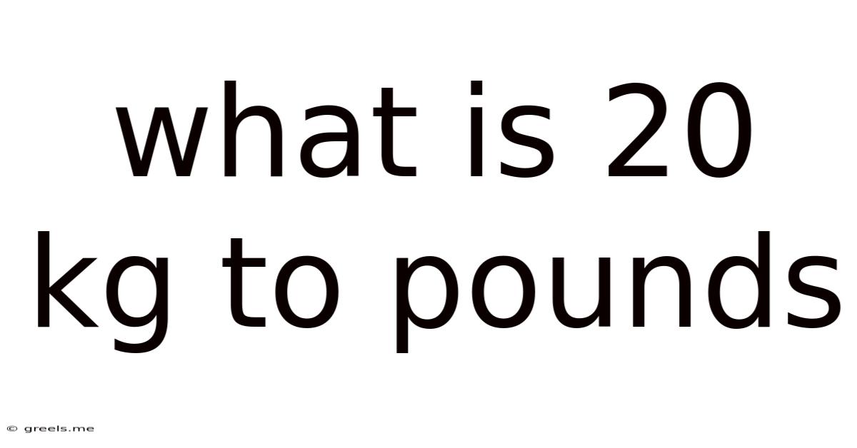 What Is 20 Kg To Pounds