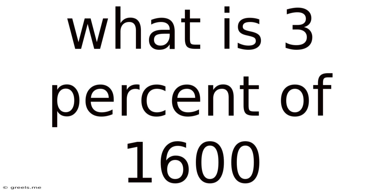 What Is 3 Percent Of 1600