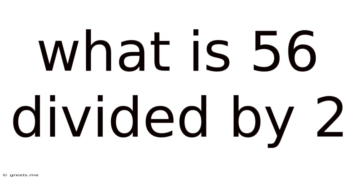 What Is 56 Divided By 2