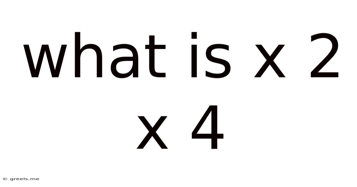 What Is X 2 X 4